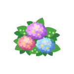 6月の初夏に咲く紫陽花（アジサイ/あじさい）のイラスト素材
