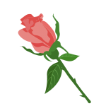 薔薇（バラ）のイラスト素材